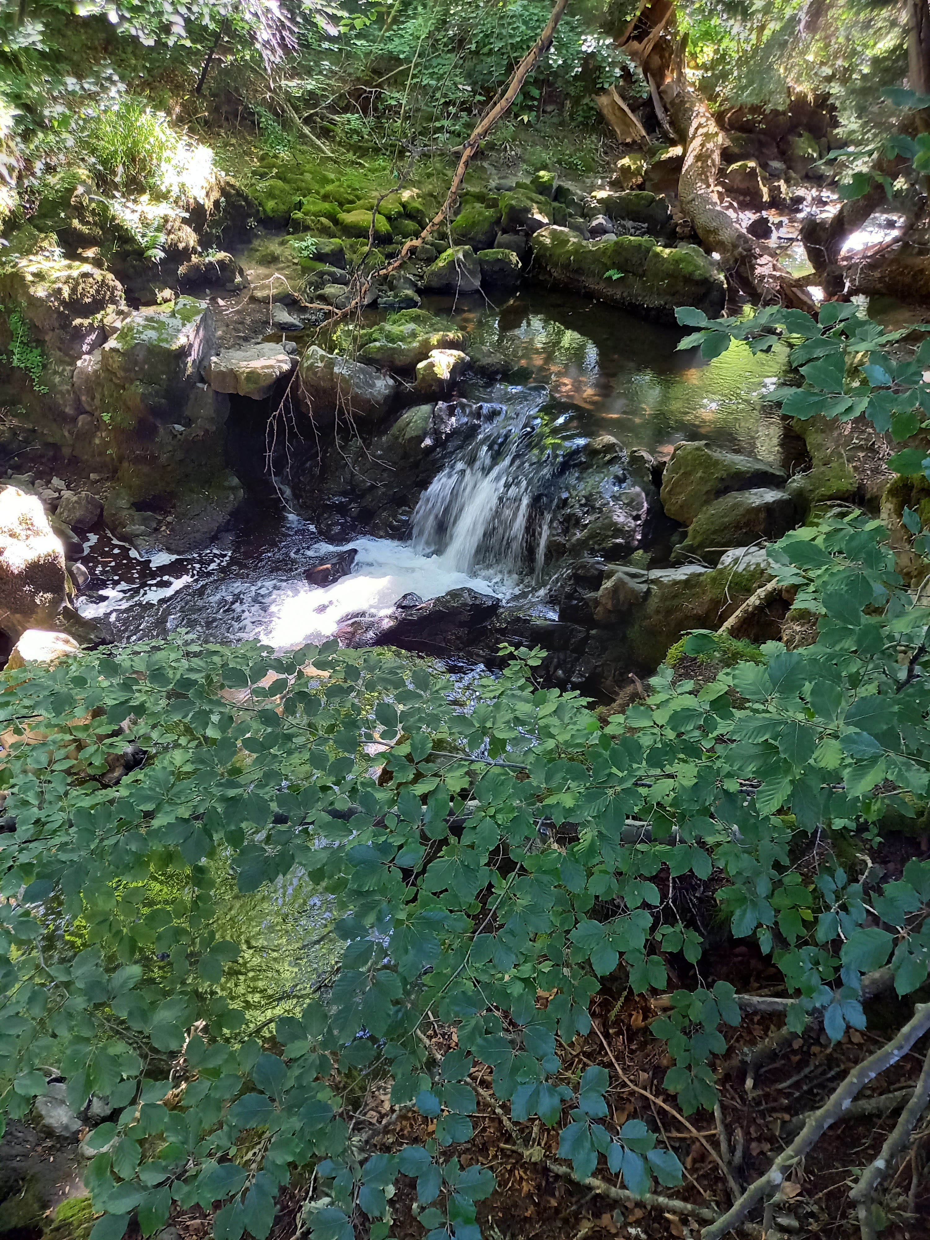 Photo n° 2 de l'avis de L'oranger. fait le 24/07/2022 à 15:43