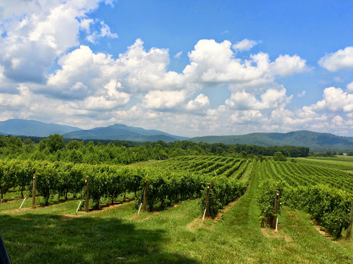 Winery «Grace Estate Winery», reviews and photos, 5273 Mt Juliet Farm, Crozet, VA 22932, USA