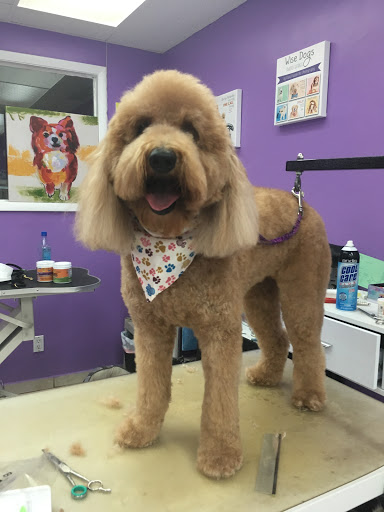 Pet Groomer «Mario`s Pet Grooming & Boutique», reviews and photos, 708 SE 17th St, Fort Lauderdale, FL 33316, USA