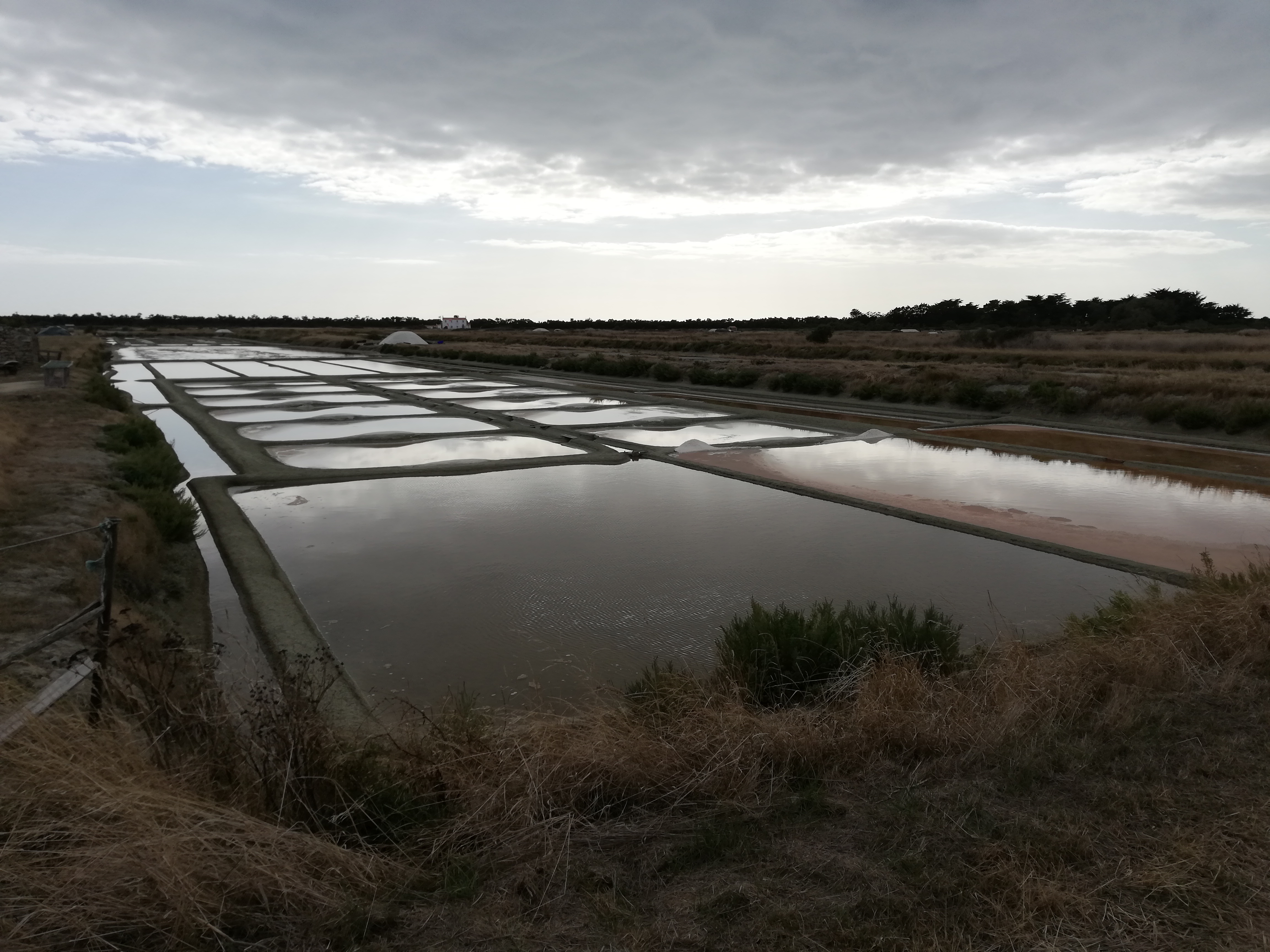 Photo n° 22 de l'avis de Bernard.O fait le 10/09/2019 à 02:01