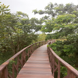 Camino a la cocodrilera, Isla Santay
