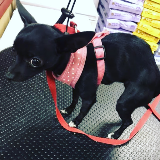 Pet Store «Healthy Pets Mountain West», reviews and photos, 2352 Fort Union Blvd, Cottonwood Heights, UT 84121, USA