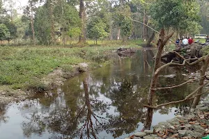 Tipukhola Picnic Spot image