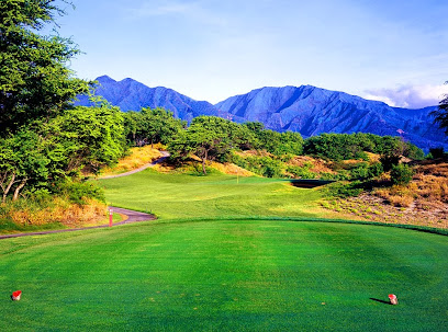 Hawaii Golf Schools