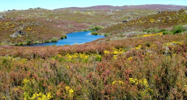 Avaliações doParque Natural de Montesinho em Bragança - Outro