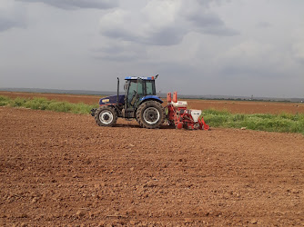 Höyükyanı Köyü Cami