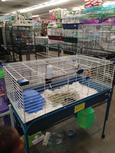 Pet Store «Pet World - Auburndale», reviews and photos, 3637 Havendale Blvd, Auburndale, FL 33823, USA