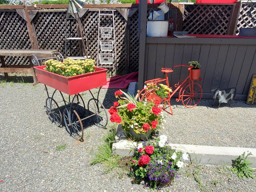 Florist «Cambria Nursery & Florist», reviews and photos, 2801 Eton Rd, Cambria, CA 93428, USA