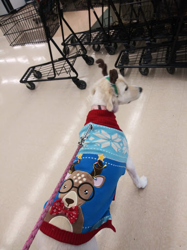 Pet Supply Store «Petco Animal Supplies», reviews and photos, 3055 N President George Bush Hwy, Garland, TX 75040, USA