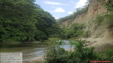 Vdal Pichardo Sui