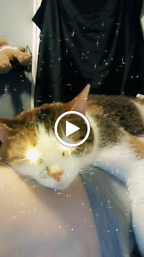 Pet Supply Store «PetSmart», reviews and photos, 4540 Grape Rd, Mishawaka, IN 46545, USA