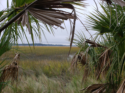 Aquarium «UGA Marine Education Center and Aquarium», reviews and photos, 30 Ocean Science Cir, Savannah, GA 31411, USA