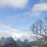 Photo n°1 de l'avis de Liliana.a fait le 07/02/2023 à 20:03 sur le  Adega do Pomar à Camacha