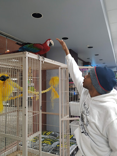 Pet Store «Petland Topeka», reviews and photos, 1801 SW Wanamaker Rd, Topeka, KS 66614, USA