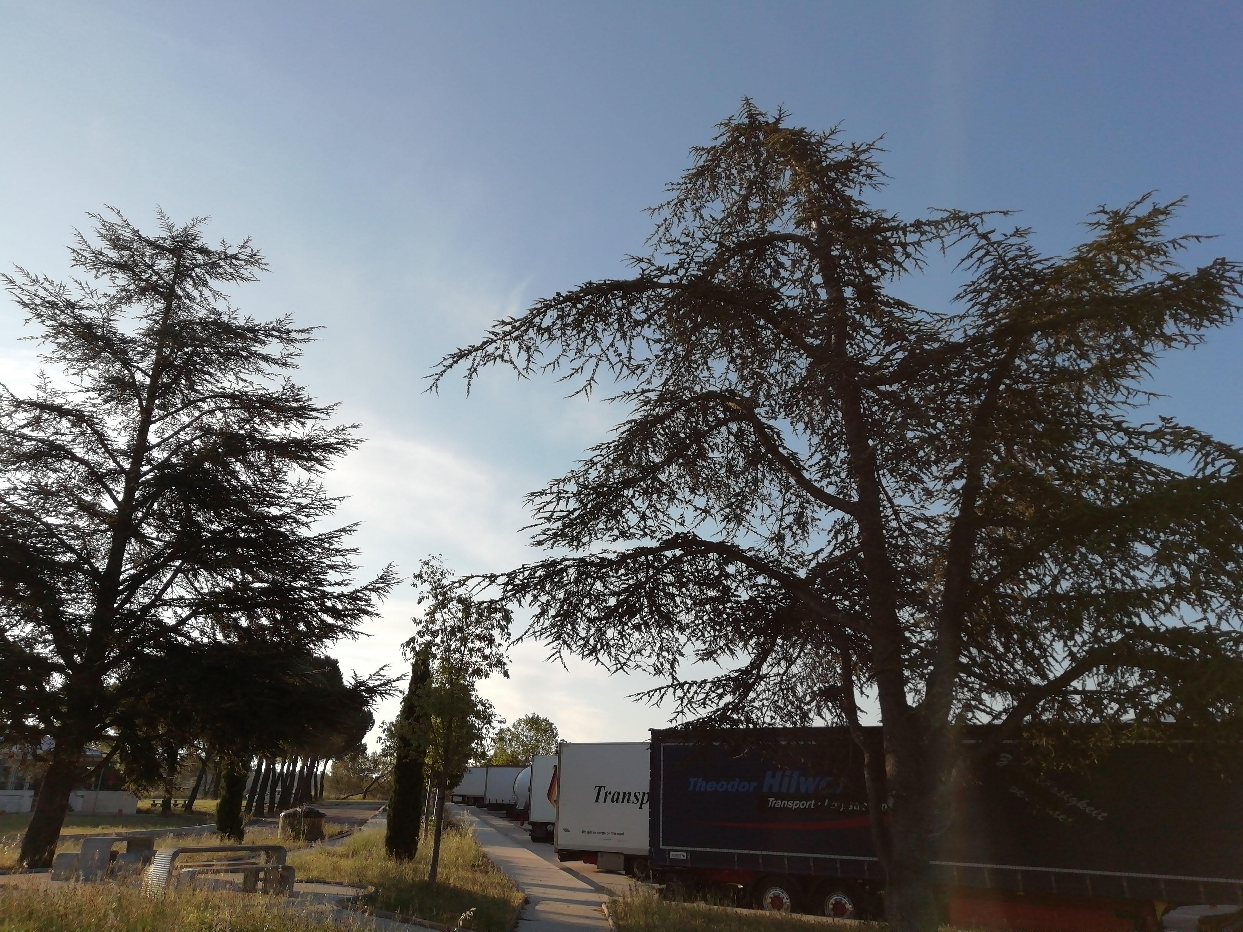 Photo n° 12 de l'avis de Serzh. fait le 04/06/2019 à 13:52