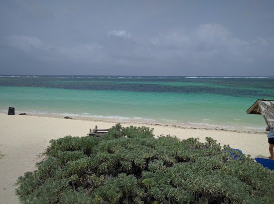 Anegada beach