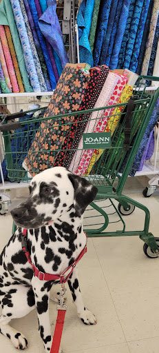 Fabric Store «Jo-Ann Fabrics and Crafts», reviews and photos, 10261 River Marsh Dr #149, Jacksonville, FL 32246, USA