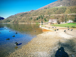 Spiaggia pubblica di Levico'in fotoğrafı #alt_locality_no