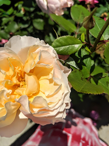 Home Improvement Store «The Home Depot», reviews and photos, 296 N Plainfield Rd, West Lebanon, NH 03784, USA