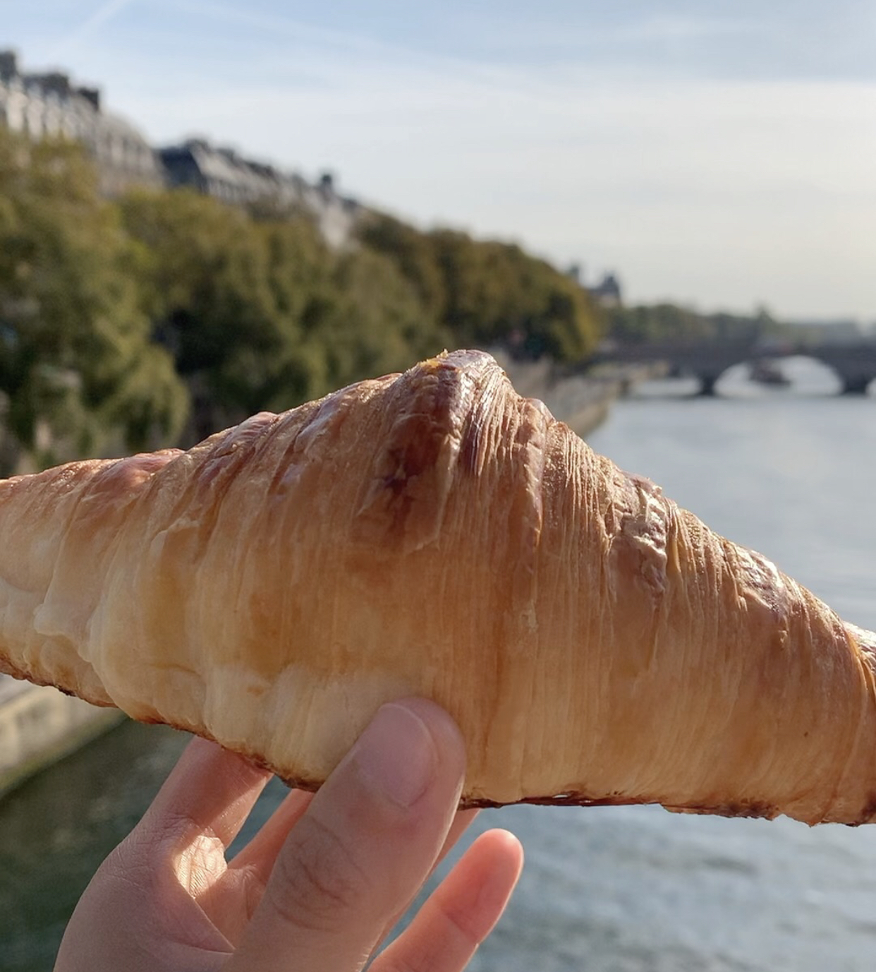 Photo n° 1 de l'avis de raymond.s fait le 17/10/2019 à 20:58