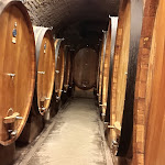 Photo n°2 de l'avis de Vincenzo. fait le 08/05/2018 à 19:38 sur le  Taverna Squarcialupi à Castellina in Chianti