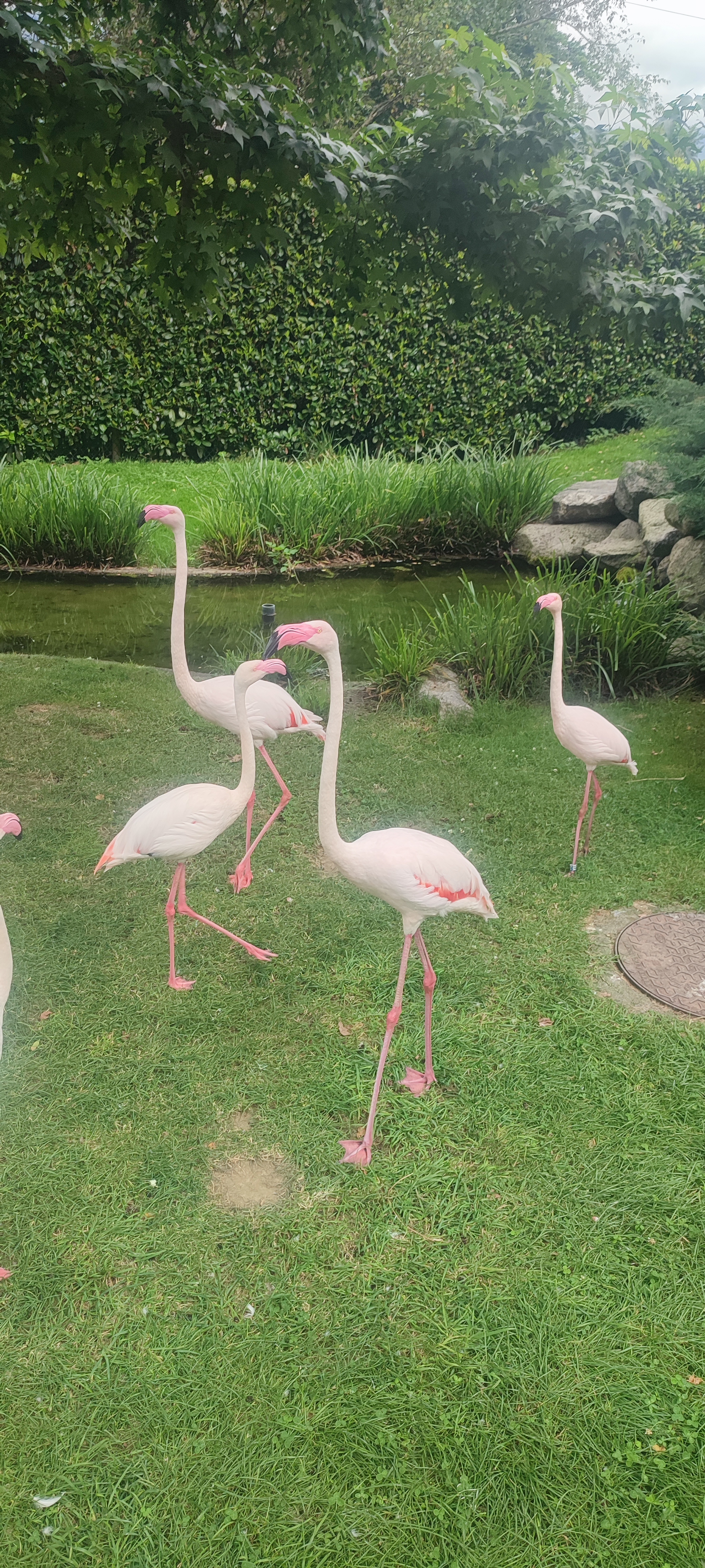 Photo n° 3 de l'avis de Pin's. fait le 26/07/2023 à 15:58