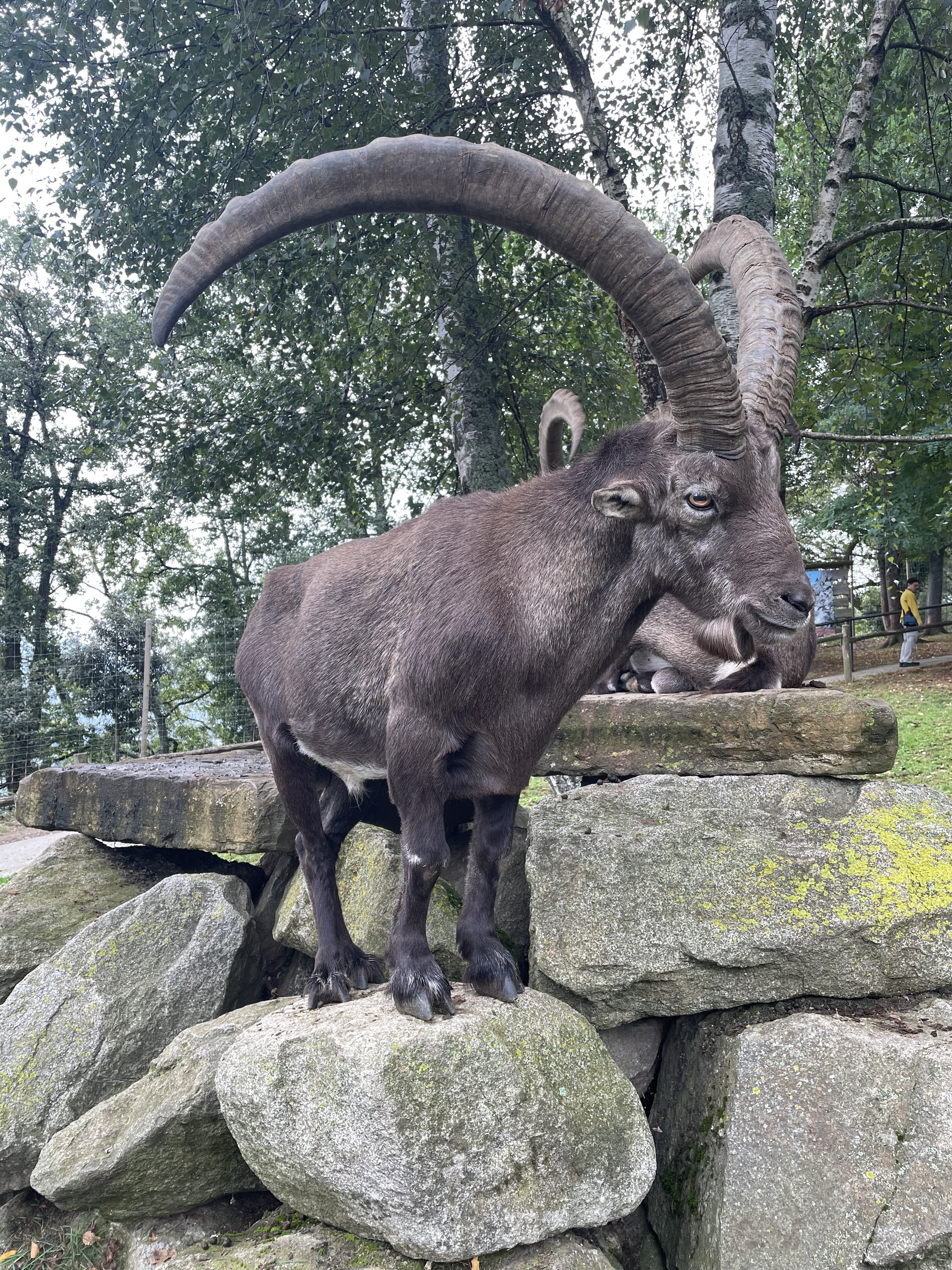 Photo n° 3 de l'avis de Arthur.e fait le 12/09/2023 à 17:48