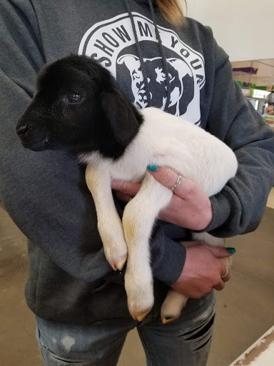 Pet Supply Store «Western Ranch & Pet Supply», reviews and photos, 103 Aegean Way, Vacaville, CA 95687, USA