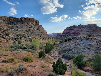 Mill Canyon Dinosaur Bone Trail