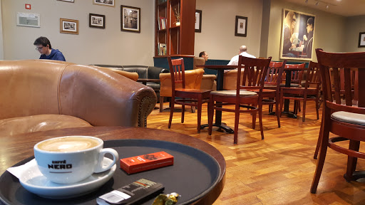 Study coffee shops Belfast