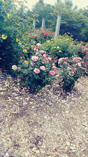 Community Center «SeaTac Community Center», reviews and photos, 13735 24th Ave S, SeaTac, WA 98168, USA