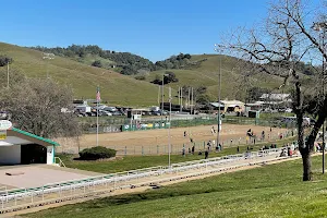 Calaveras County Fair & Jumping Frog Jubilee image