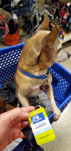 Pet Supply Store «PetSmart», reviews and photos, 4005 Airport Fwy, Irving, TX 75062, USA