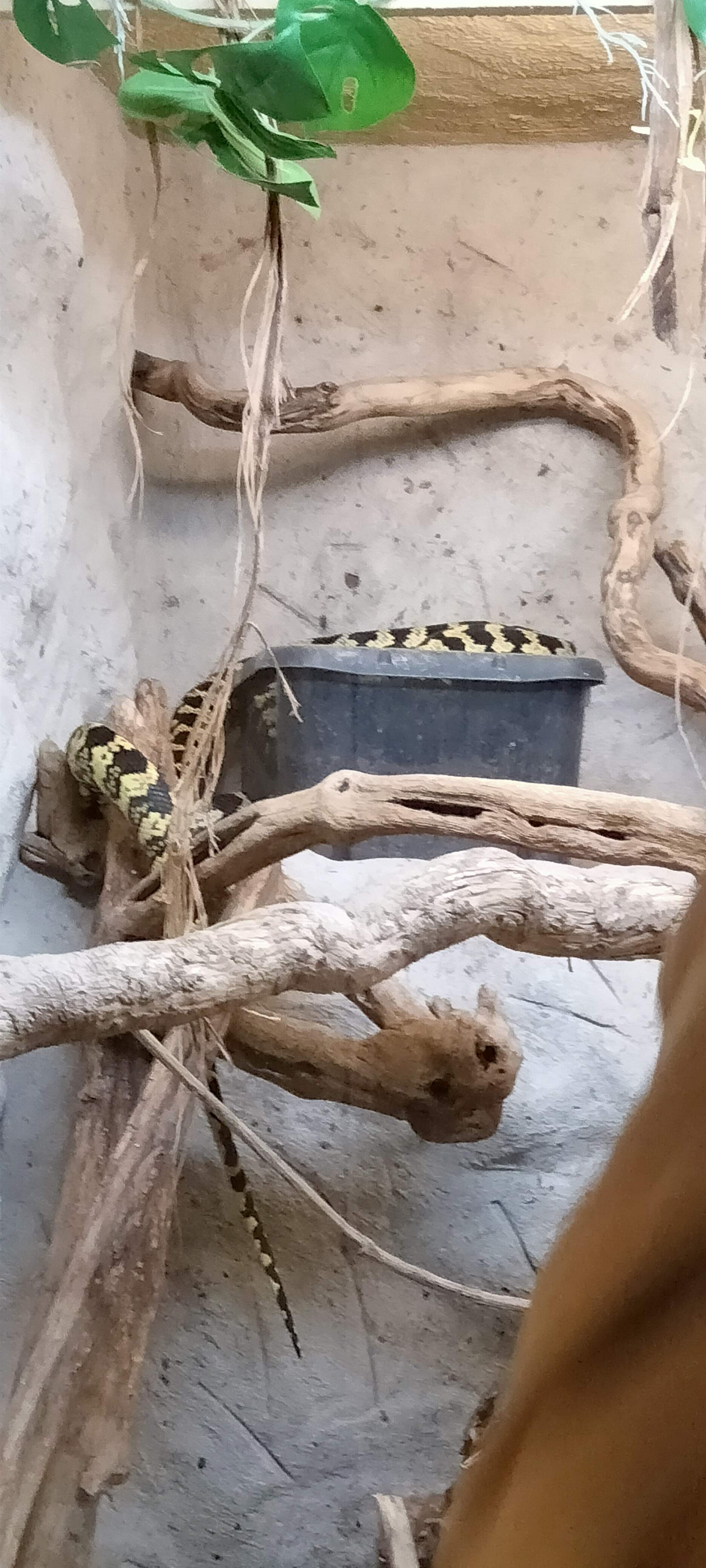 Photo n° 5 de l'avis de Dany.u fait le 19/03/2023 à 19:21