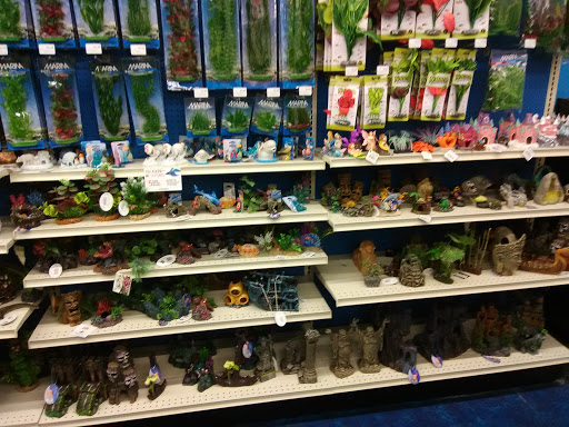 Pet Supply Store «Pet Supermarket», reviews and photos, 465 State Rd 13, Fruit Cove, FL 32259, USA