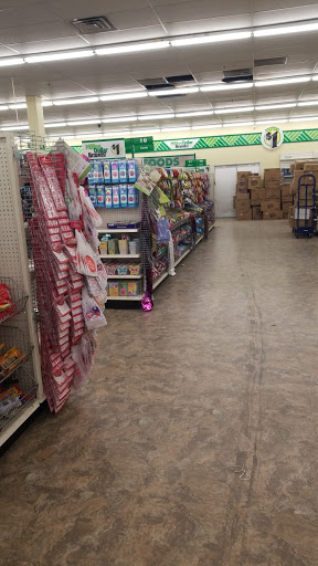 Dollar Store «Dollar Tree», reviews and photos, 7001 Cermak Rd, Berwyn, IL 60402, USA