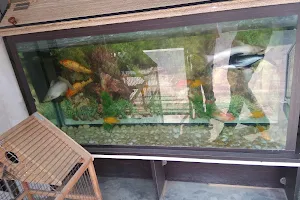 UNIVERSAL AQUARIUM FISH CENTER image