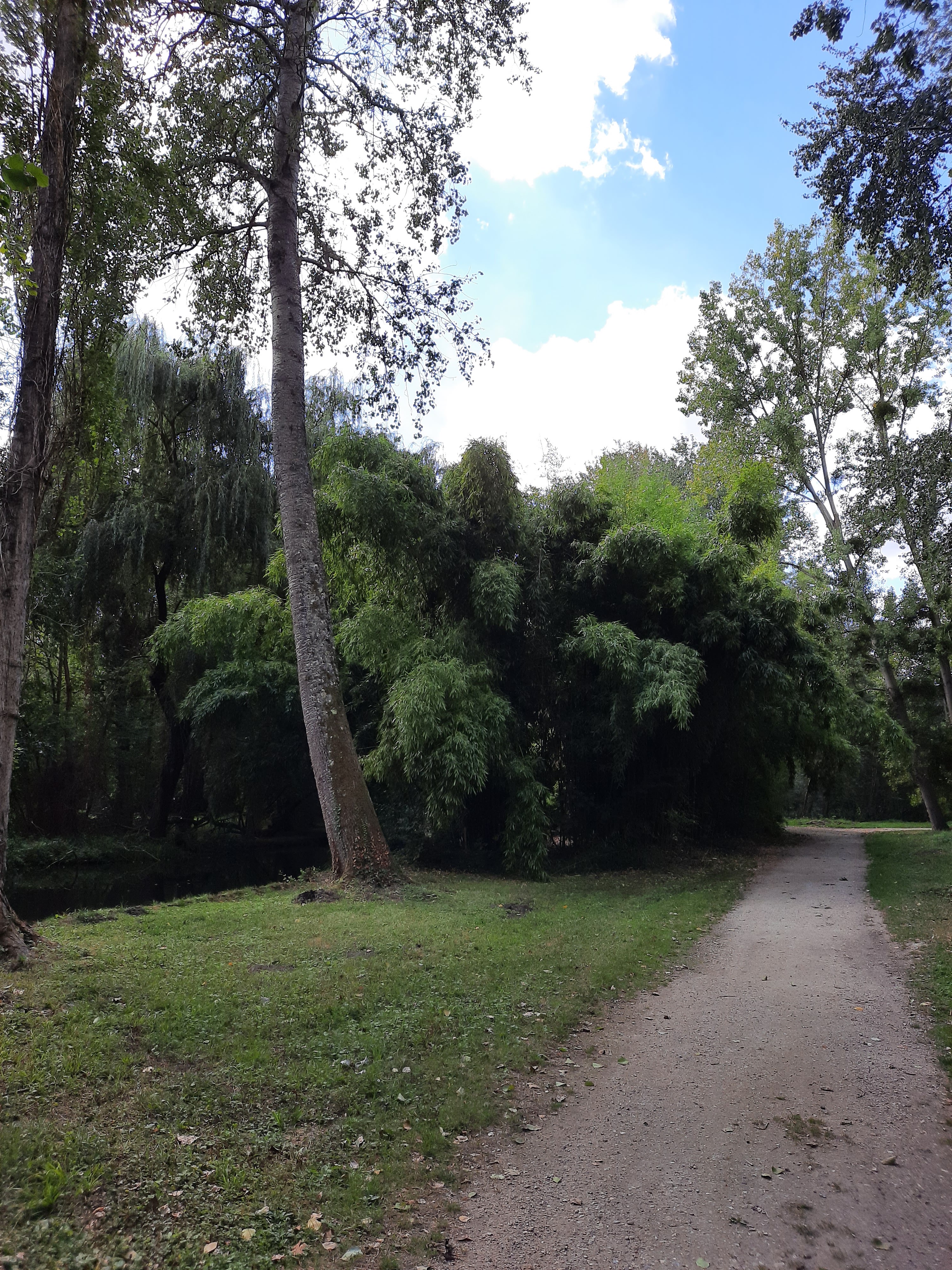 Photo n° 15 de l'avis de Jérémy.a fait le 01/09/2020 à 19:53