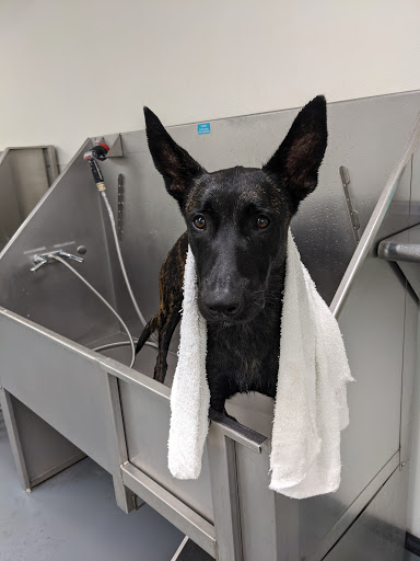 Pet Supply Store «Centinela Feed & Pet Supplies», reviews and photos, 11055 W Pico Blvd, Los Angeles, CA 90064, USA