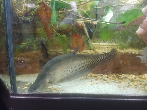 Pet Store «WorldWide Fish & Pets», reviews and photos, 61 Amity Rd, New Haven, CT 06515, USA