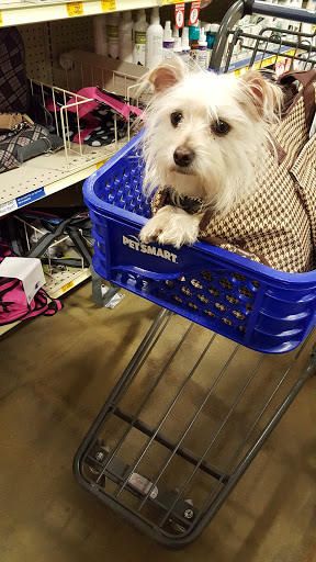 Pet Supply Store «PetSmart», reviews and photos, 40 S Abilene St, Aurora, CO 80012, USA
