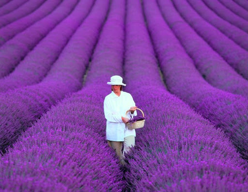 Travel Agency «Lugos Travel Incorporated», reviews and photos, 3825 Florida Ave S #2, Lakeland, FL 33813, USA