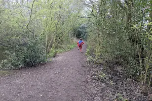 Hertford Heath Nature Reserve image