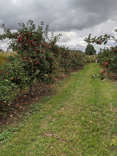 Blake's Apple Orchard