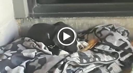 Supermarket «Nob Hill Foods», reviews and photos, 611 Trancas St, Napa, CA 94558, USA