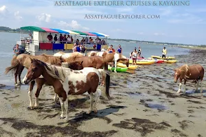 Assateague Explorer Pony Watching Cruise & Kayaking image