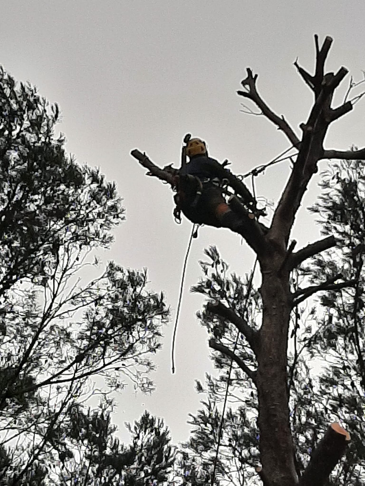 Photo n° 1 de l'avis de Bravo.a fait le 16/02/2021 à 19:43