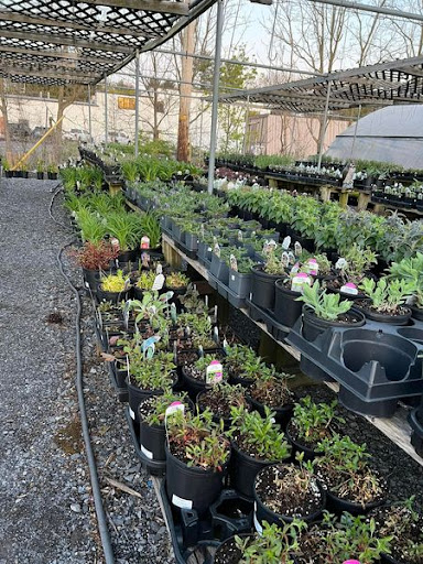 Florist «TG Designs», reviews and photos, 19231 Longmeadow Rd, Hagerstown, MD 21742, USA