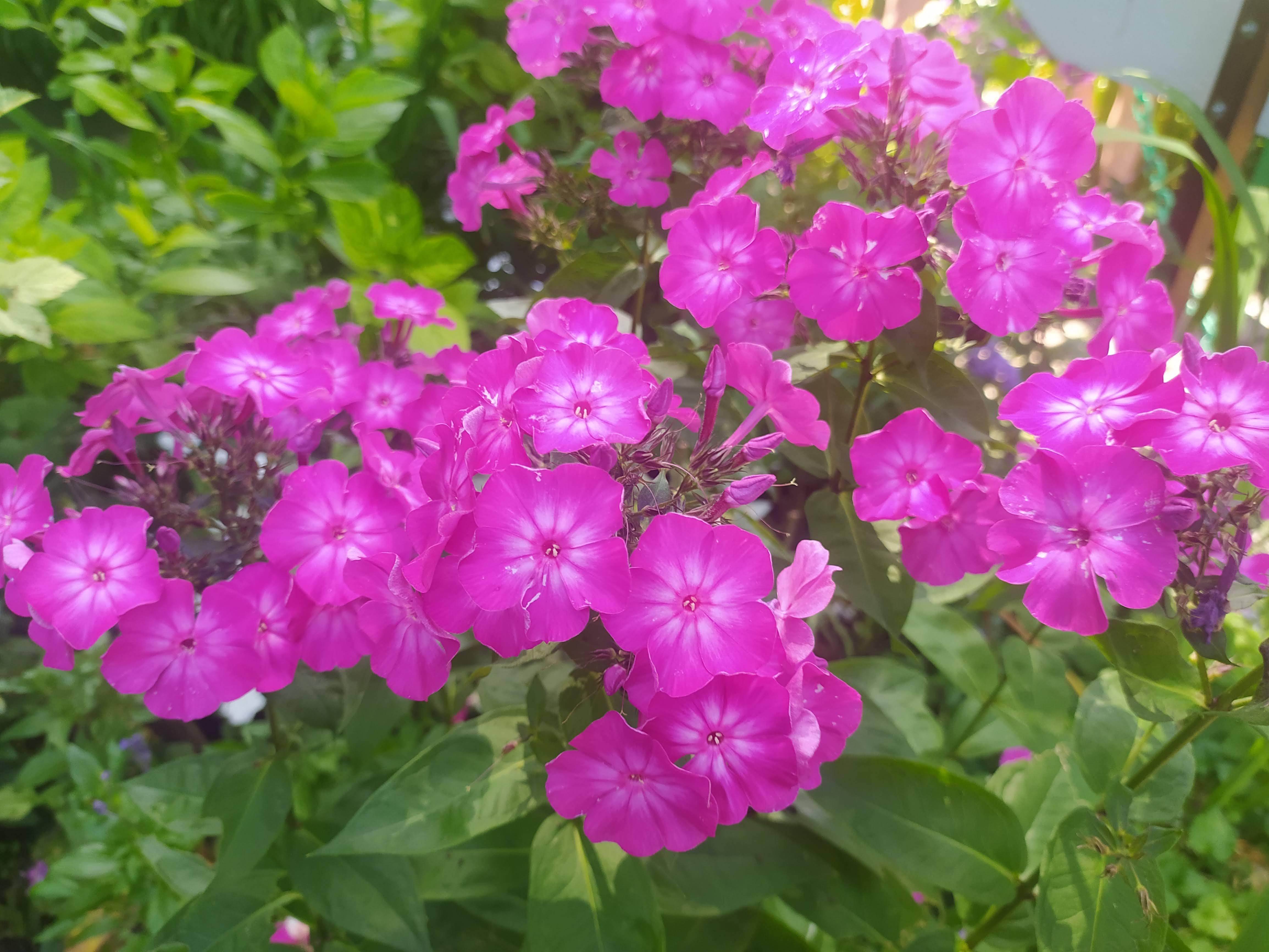 Photo n° 8 de l'avis de Farid.L fait le 21/07/2021 à 21:27