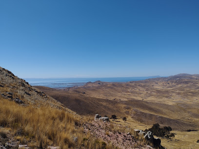Reserva Nacional Titicaca